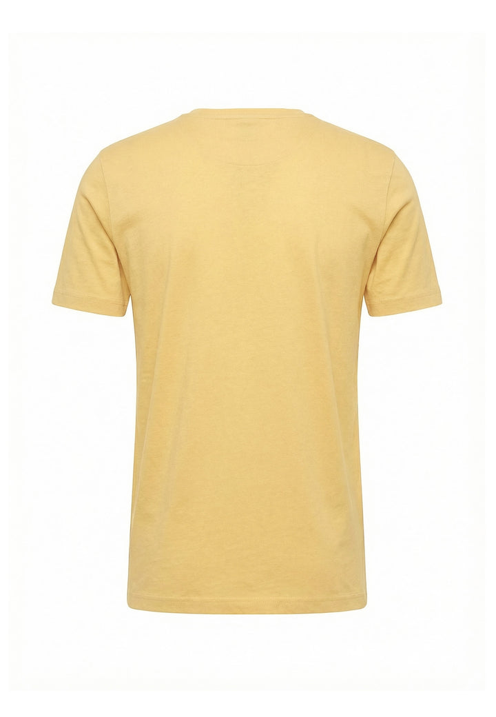 #color_pale-yellow