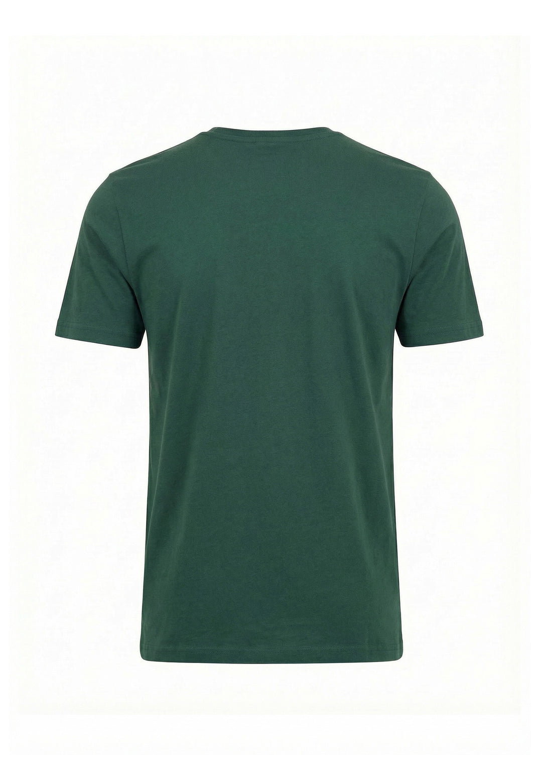 #color_pine-green