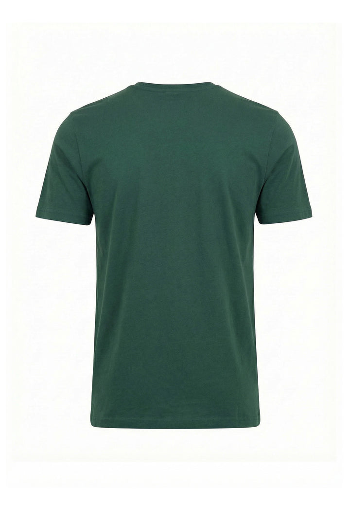 #color_pine-green