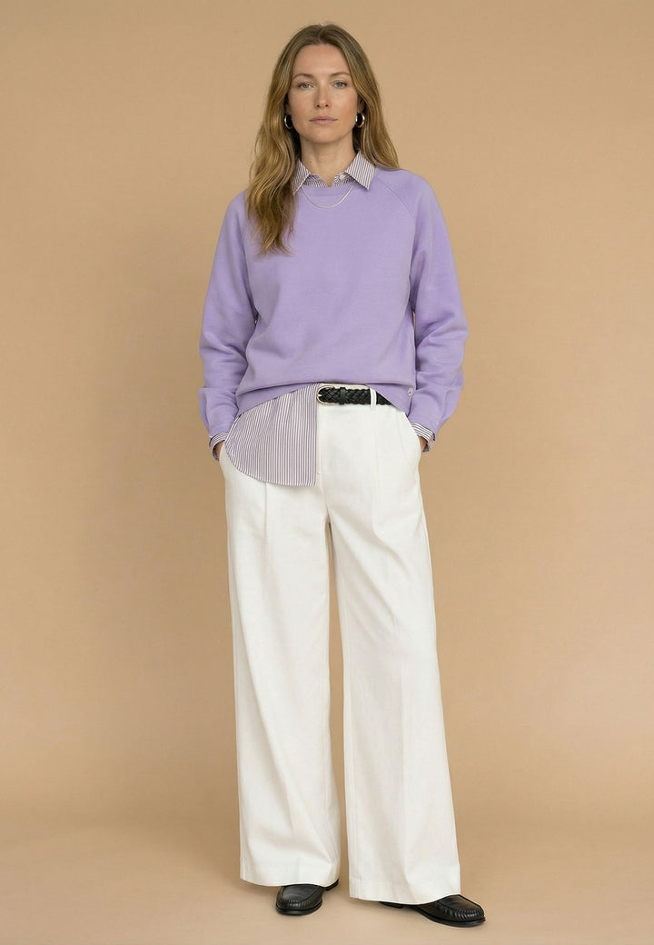 #farbe_wisteria-lilac