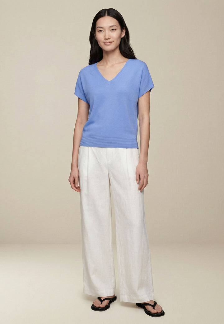 #farbe_cornflower-blue